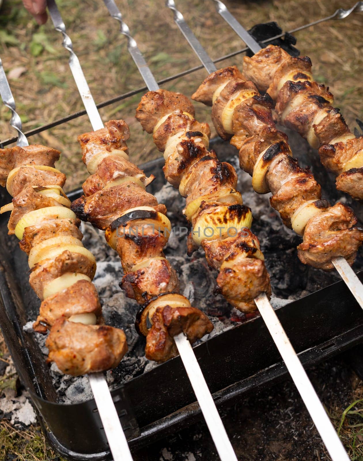 Close Up Cooking Meat Barbecue On The Coal In Camping Park, Forest. Meat , Onion Rings Strung On Skewers. No Waste Healthy Eating Picnic In Summer, Spring Time. Vertical Plane. High Quality Photo