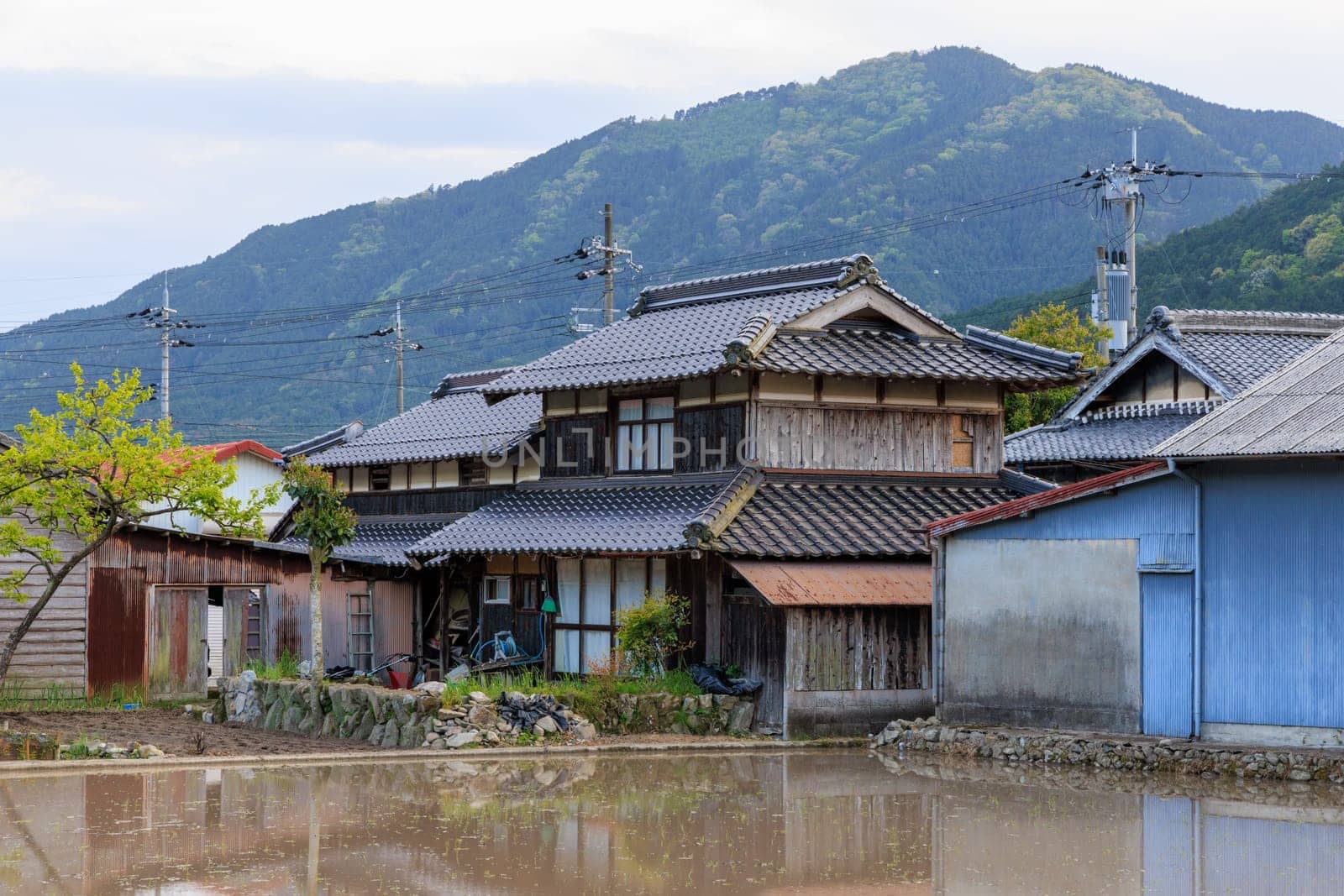 Traditional Japanese wooden house by flooded rice field in small town. High quality photo