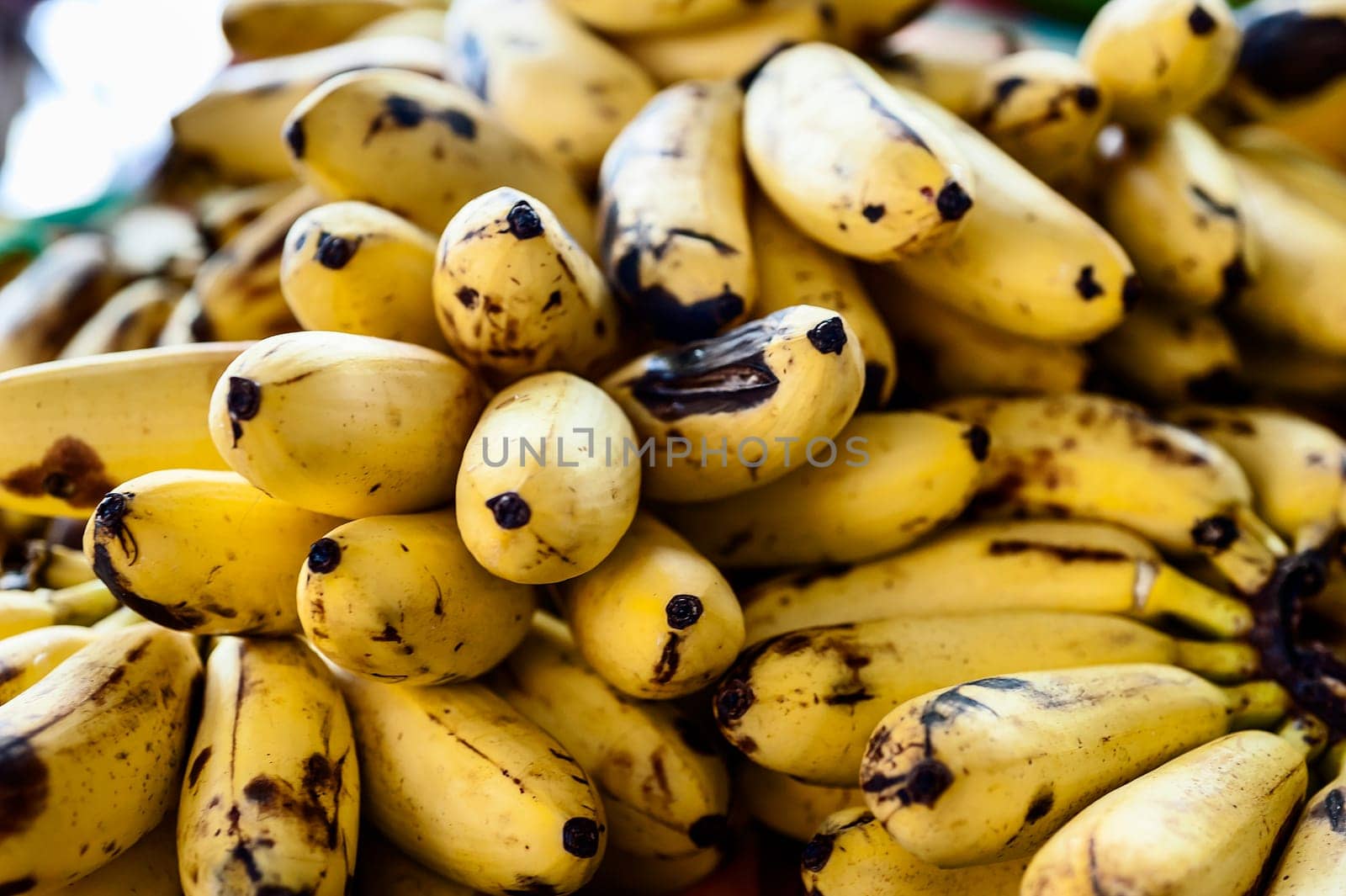 Bananas in the fruit and vegetable market of Fort de France in Martinique