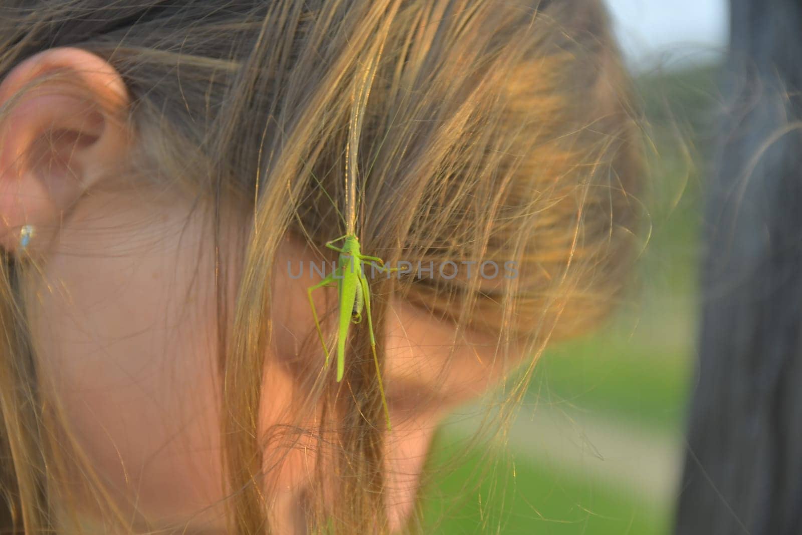 Romantic shot of a blonde girl with a grasshopper in her hair