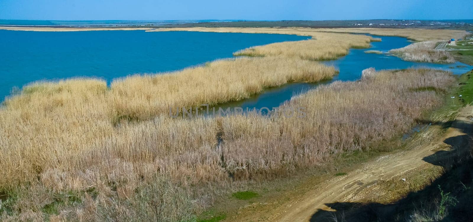 Wetlands, Shore of the lake in spring, yellow dry reeds along the shore of Lake Yalpug