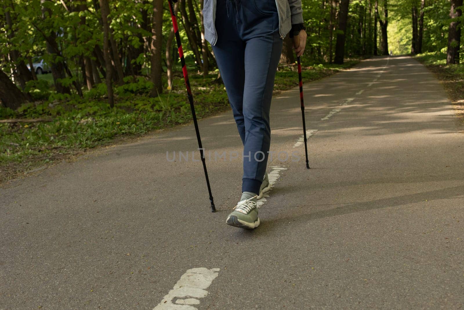 Woman's Legs Trekking With Sticks, Step Along The Path In Park, Cropped Hiking Female, Nordic Walking With Sticks, Cross-country Running. Horizontal Plane. High quality photo
