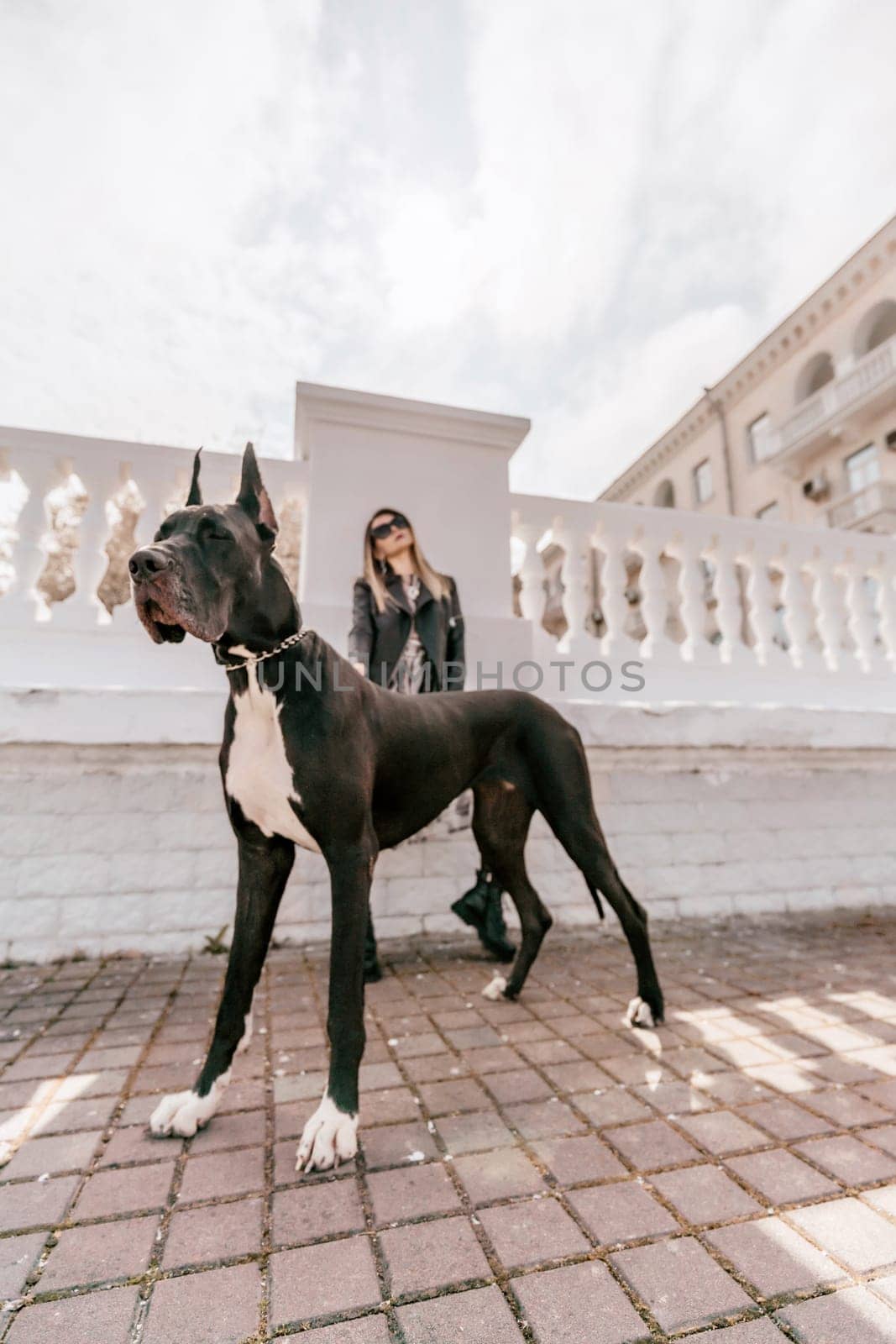 A woman walks with her Great Dane in an urban setting, enjoying the outdoors and the company of her dog