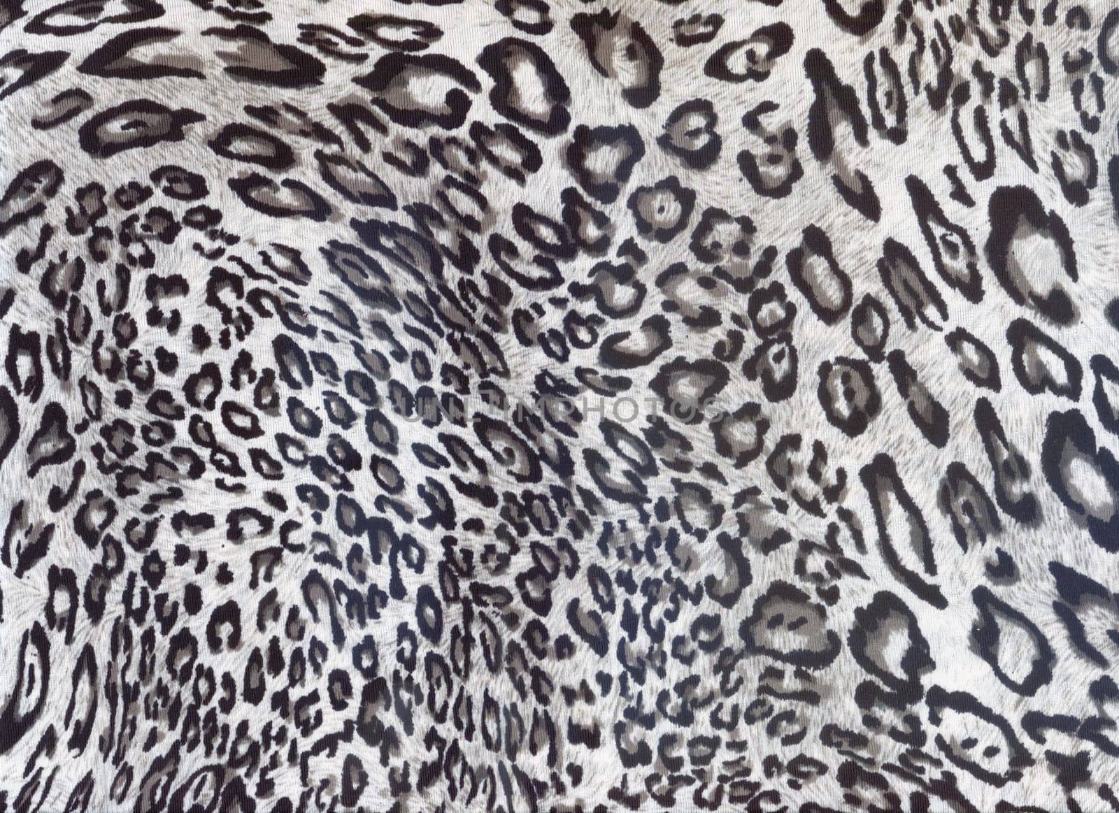 Snow Leopard skin. Luxury leopard Animal print. Cheetah fur. Jaguar spots. by feoktistova