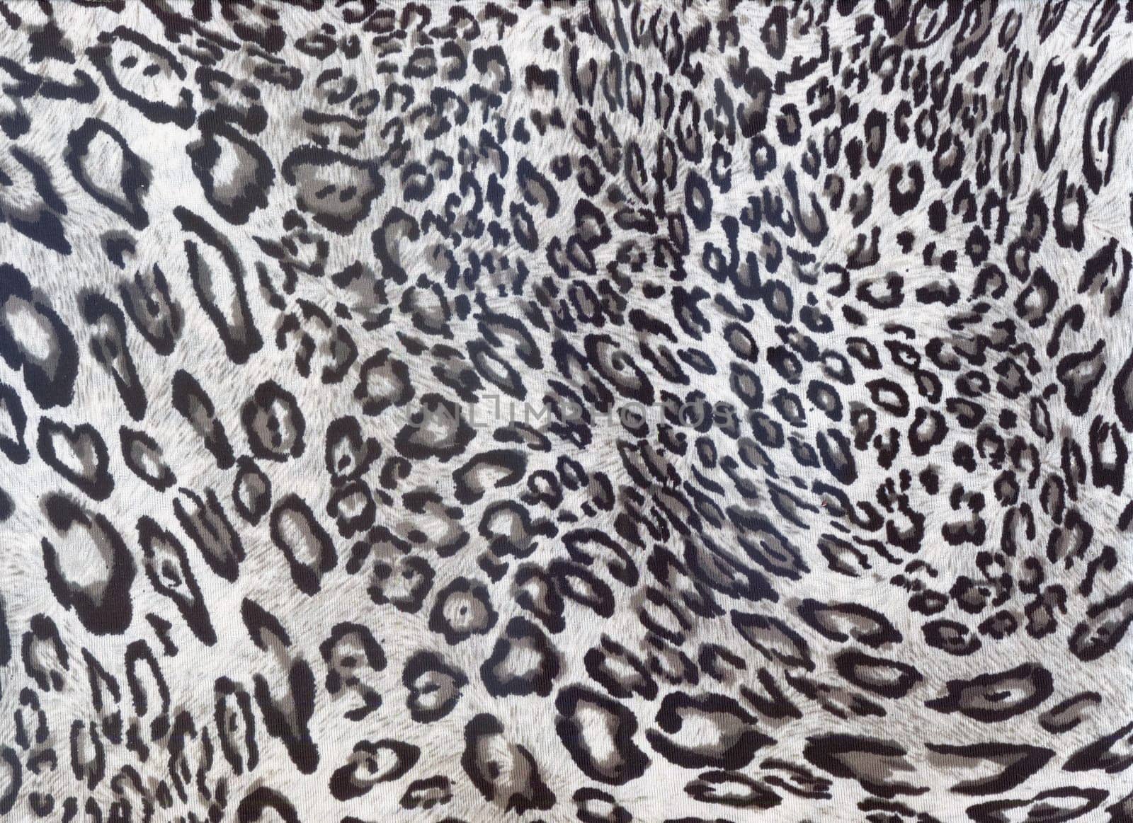 Luxury leopard Animal print. Cheetah fur. Jaguar spots. Snow Leopard skin. by feoktistova