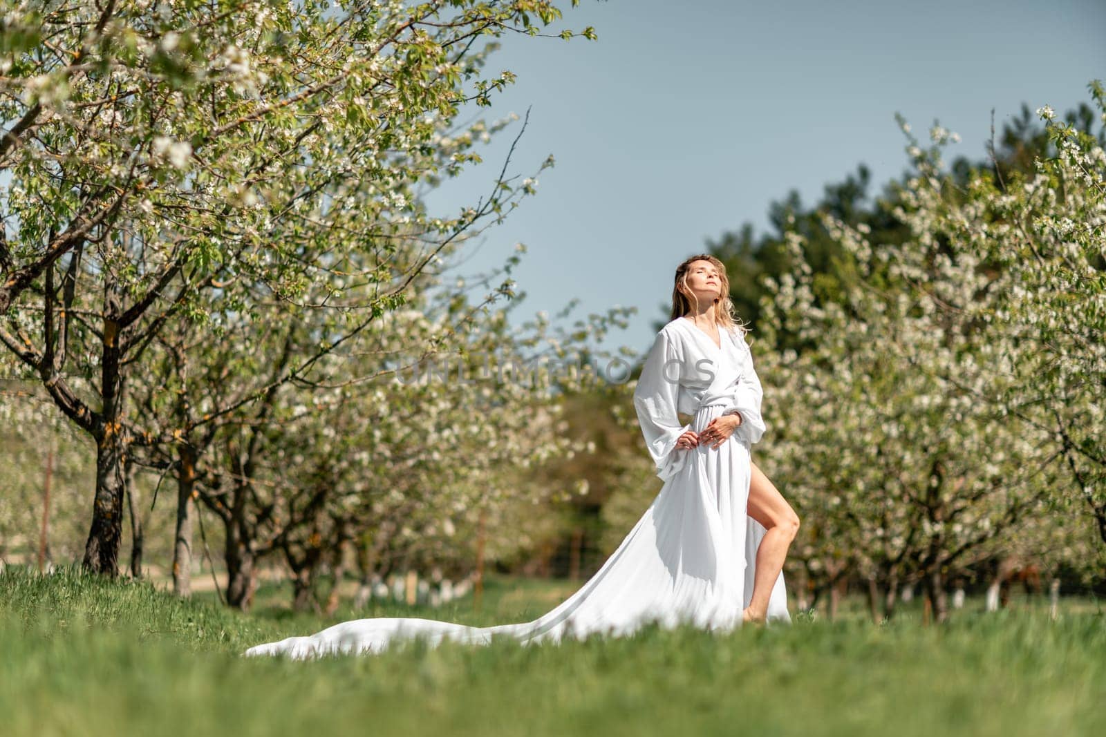 Blond blooming garden. A woman in a white dress walks through a blossoming cherry orchard. Long dress flies to the sides