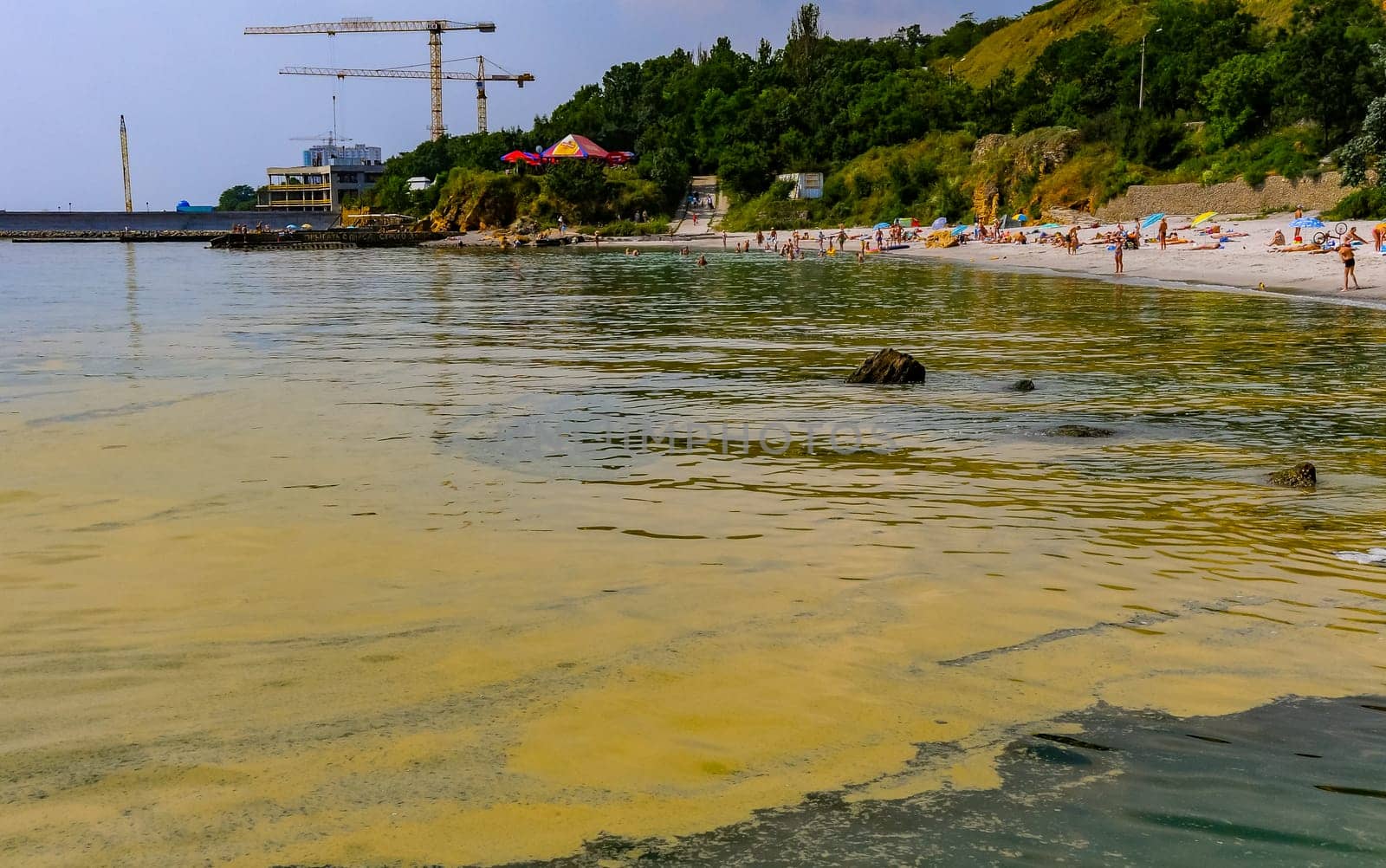(Nodularia spumigena), ecological disaster, a toxic blue-green algae bloom in the Black Sea by Hydrobiolog