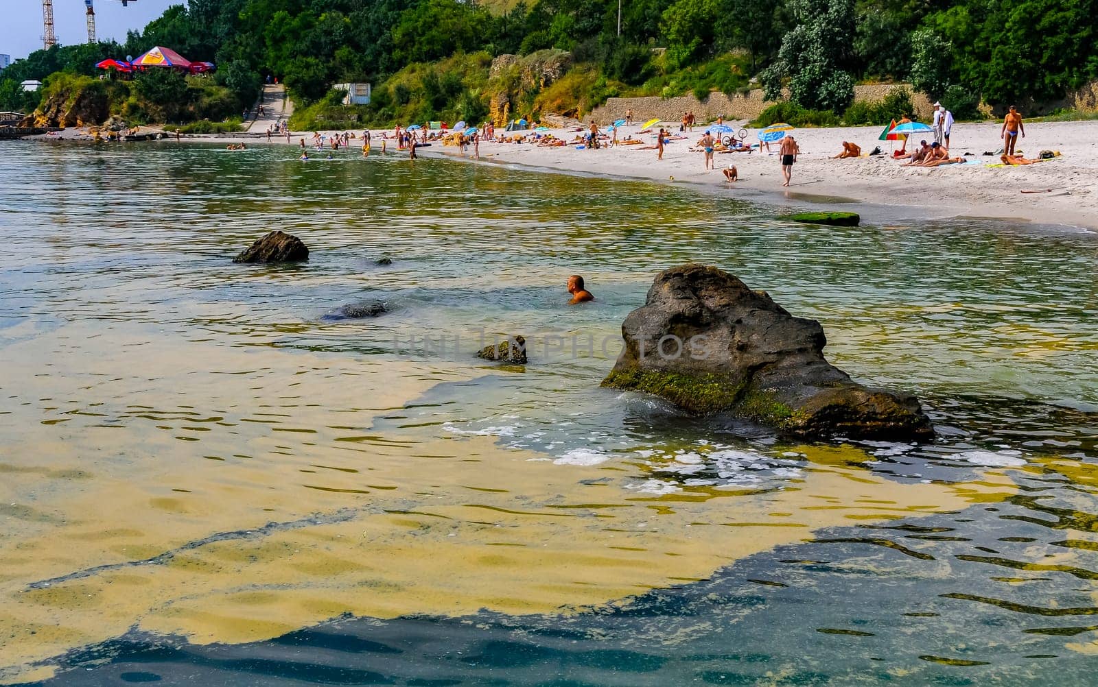 (Nodularia spumigena), ecological disaster, a toxic blue-green algae bloom in the Black Sea by Hydrobiolog