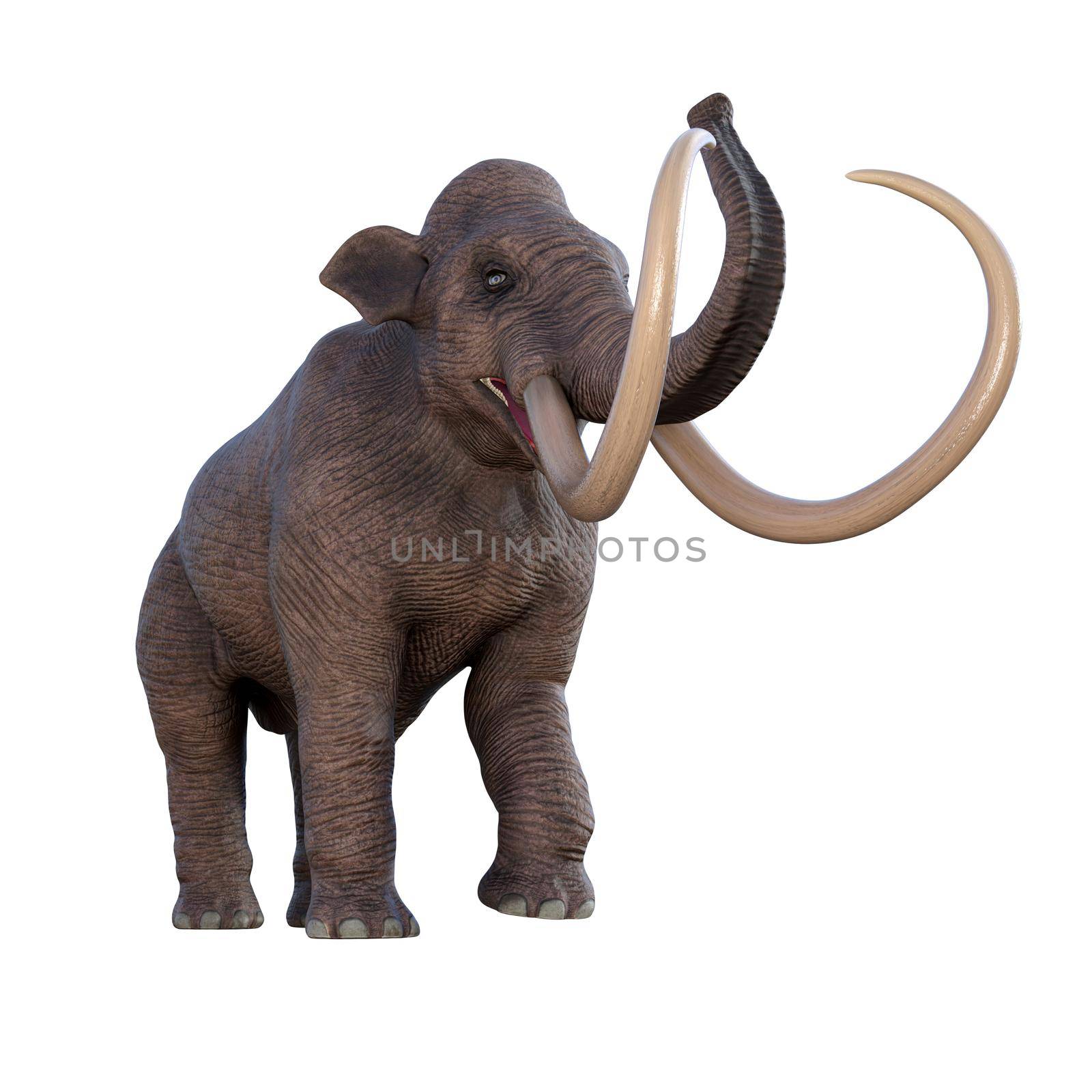 Columbian Mammoth Trumpeting by Catmando