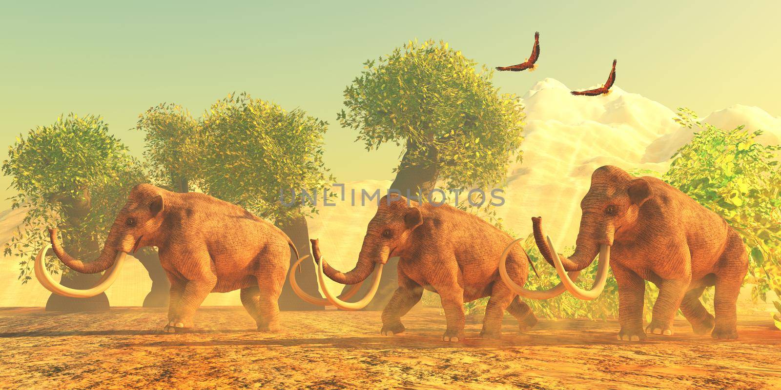 A Columbian Mammoth herd walks among trees in the Pleistocene Period of North America.