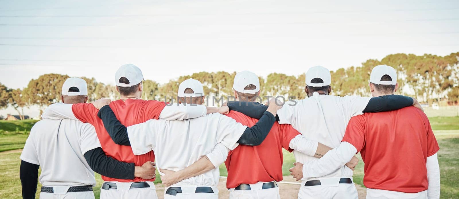 Back, teamwork and solidarity with a baseball group of people standing outdoor on a field for a game. Teamwork, support and training with friends or teammates in unity on a pitch for sports in summer.