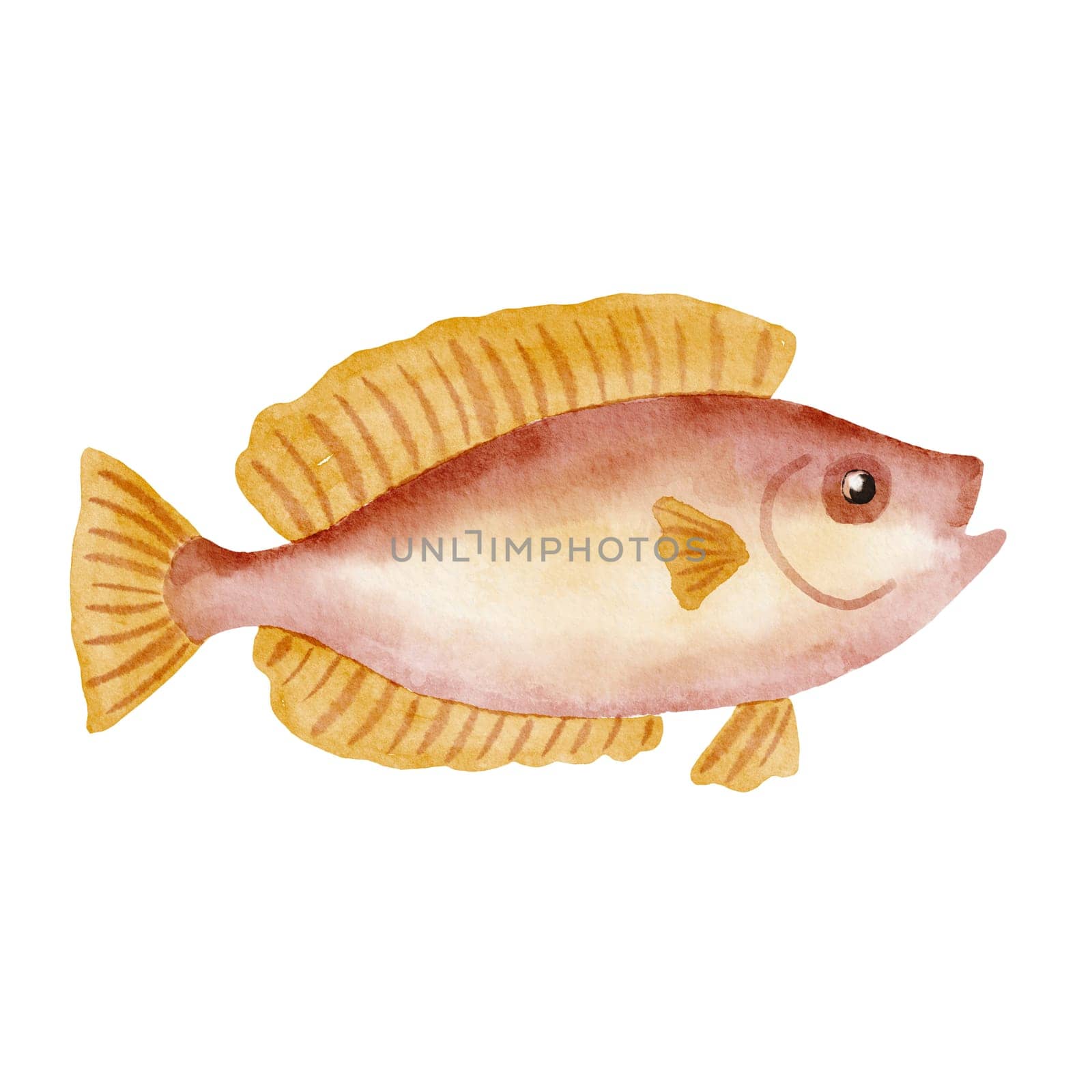 Atlantic ocean red fish. Watercolor nautical illustration isolated on white by ElenaPlatova