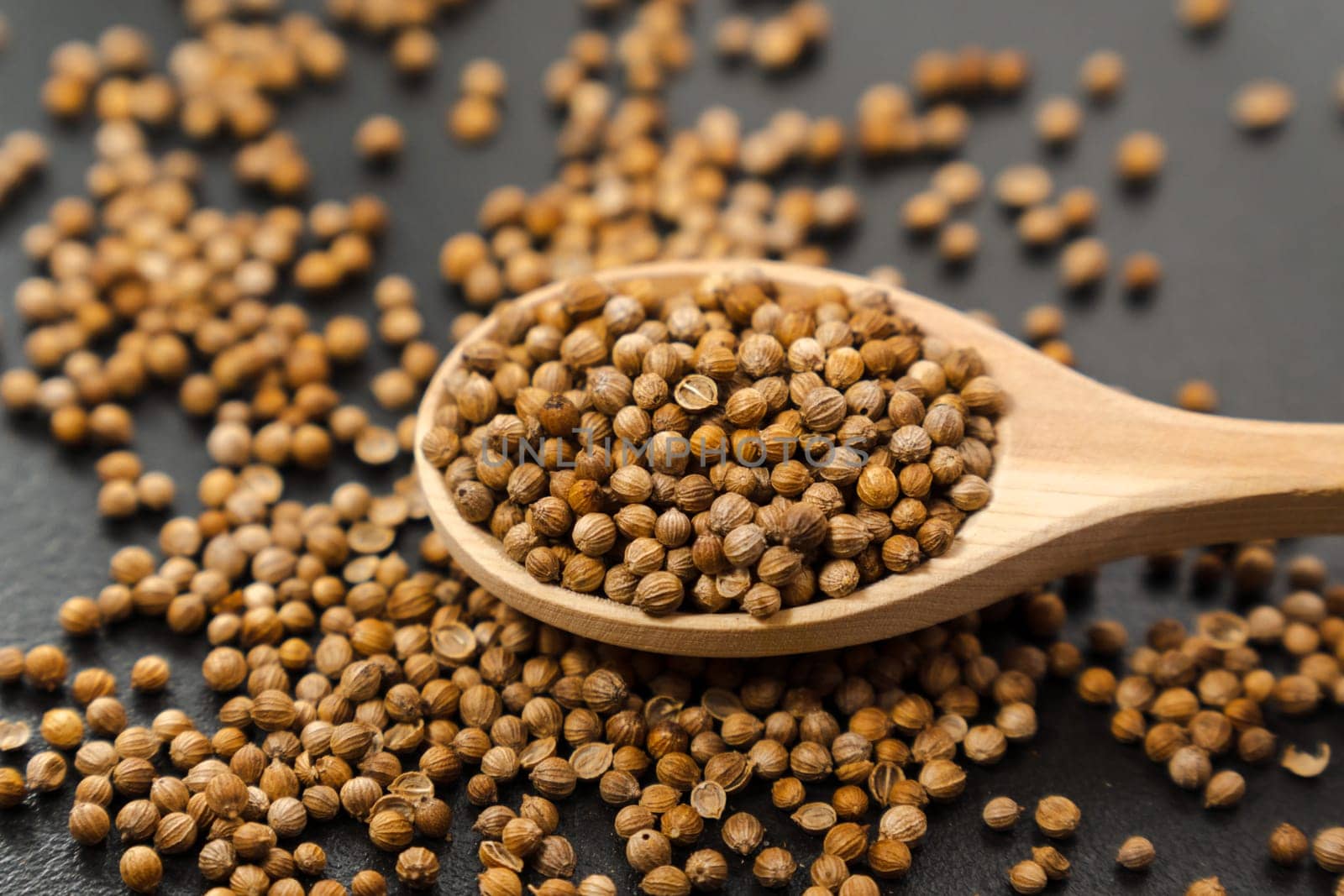 Macro shot of coriander seeds. Organic food, healthy lifestyle. Medicinal herbs and spices