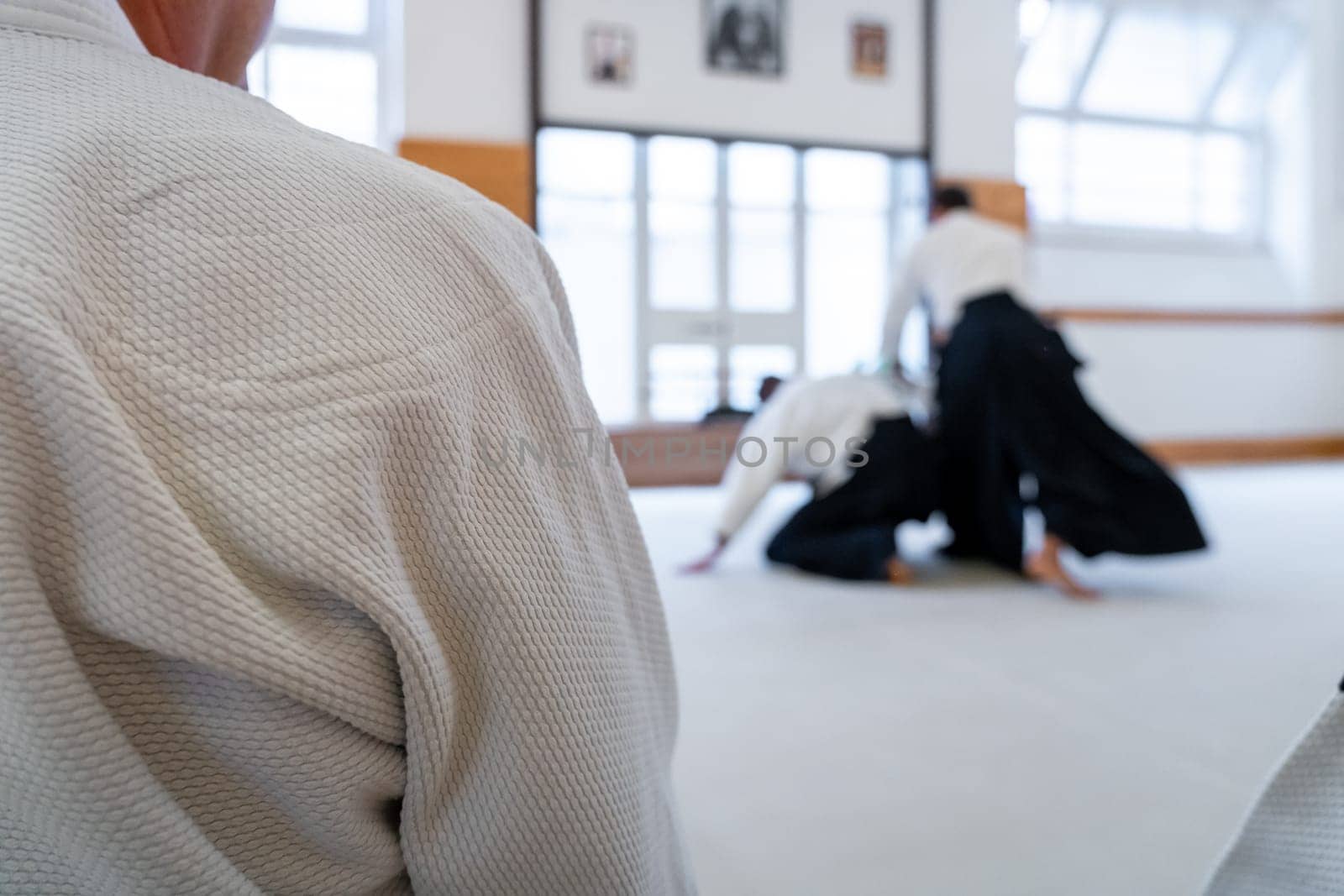 People practicing aikido martial art in a dojo background. Seiza position.