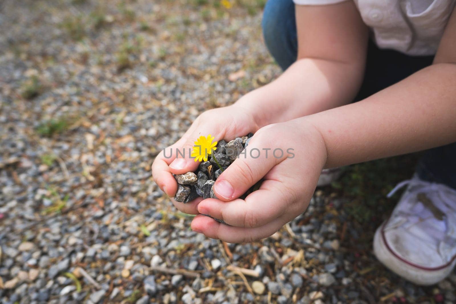 Hand holding Green young tree plant sprout growing out from the soil, environment earth day concept, copy space.