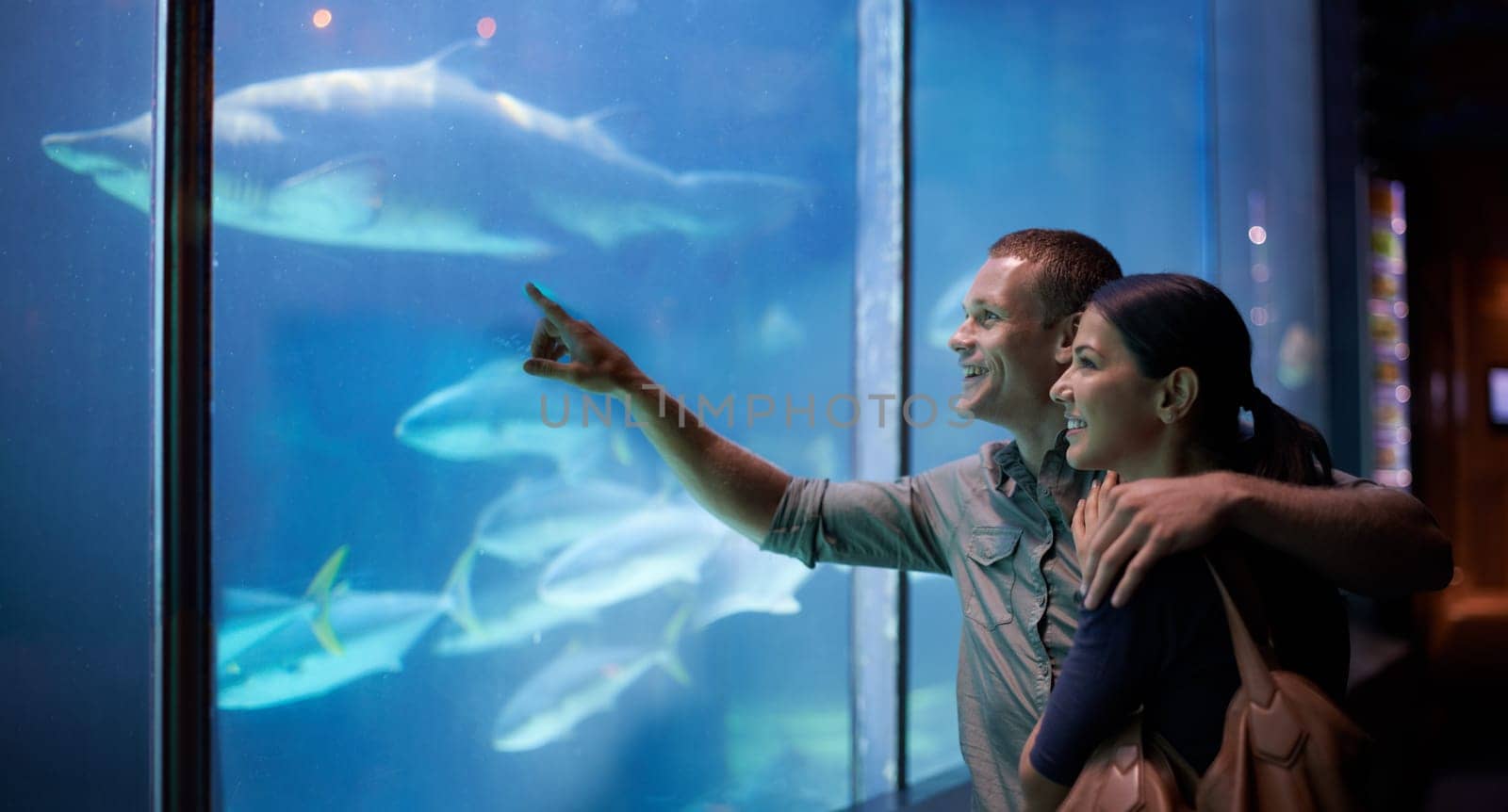 Aquarium, happy and couple pointing at fish on vacation, holiday and date together. Smile, oceanarium and man and woman watching marine life, animals swimming underwater in fishtank and hugging