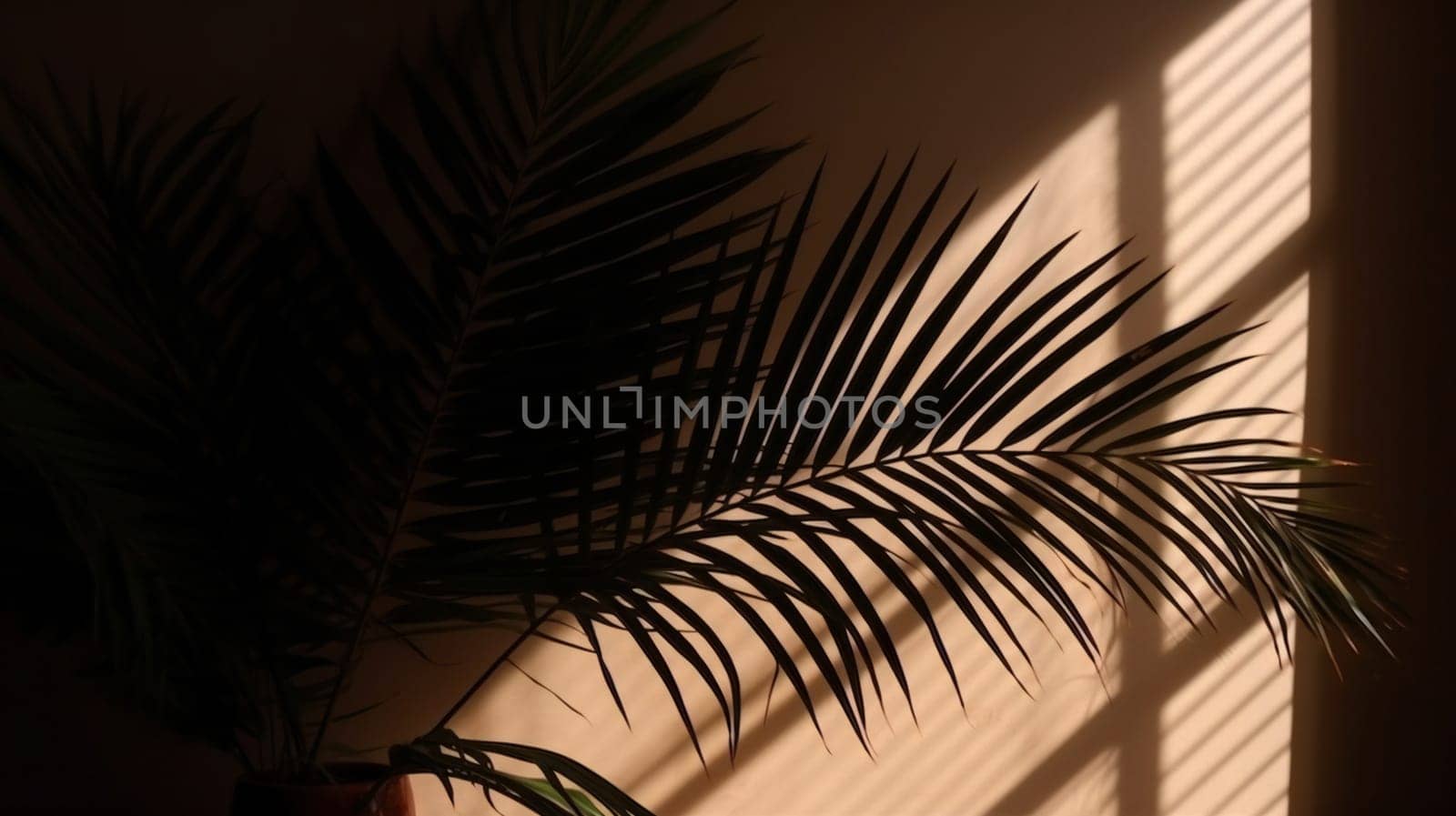 Abstract silhouette shadow beige background of natural leaves tree branch falling on wall. Transparent blurry shadow of tropical leaves morning sun light.