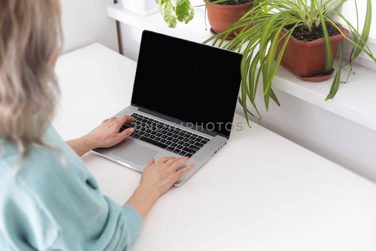 Woman sitting on armchair and putting your feet on the windowsill, works on laptop at home during self-isolation, cat nearby wants attention and to be stroked. Business from home by Andelov13
