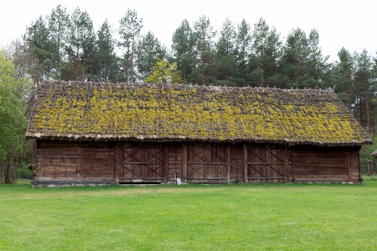 Old Wooden Building With Straw, Thatched Roof In Meadow, Open Air. Bungalow Construction in Rural Eastern Europe Area, Countryside. Horizontal Landscape Plane High quality photo.