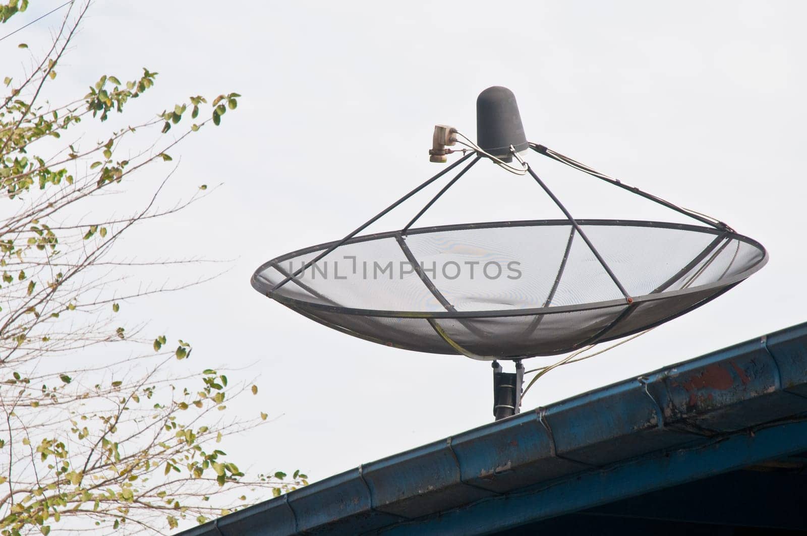 Modern satellite dish on the roof top with tree leaves branch