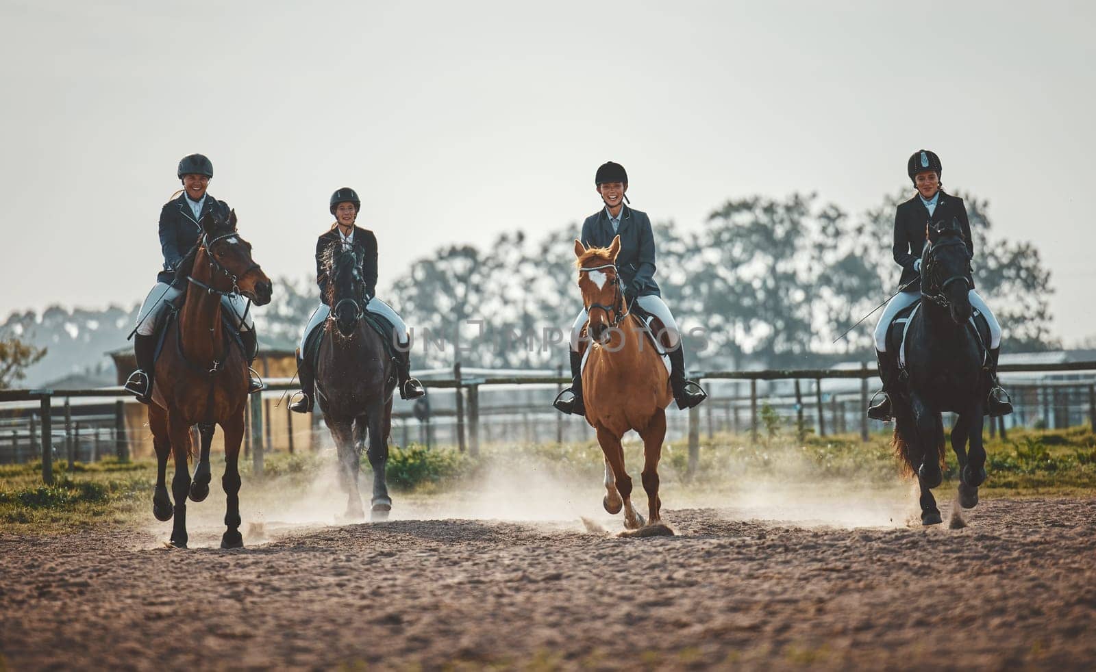 Equestrian, horse riding group and sports, women outdoor in countryside with rider or jockey, recreation and action. Animal, sport and fitness with athlete, competition with healthy lifestyle.