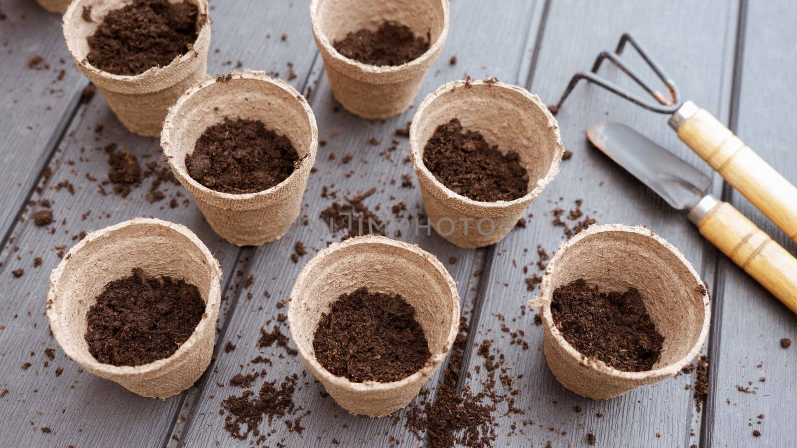 Rows of seedlings in eco friendly biodegradable peat pots, top view, selective focus. Spring natural gardening, eco, plant care, organic product.