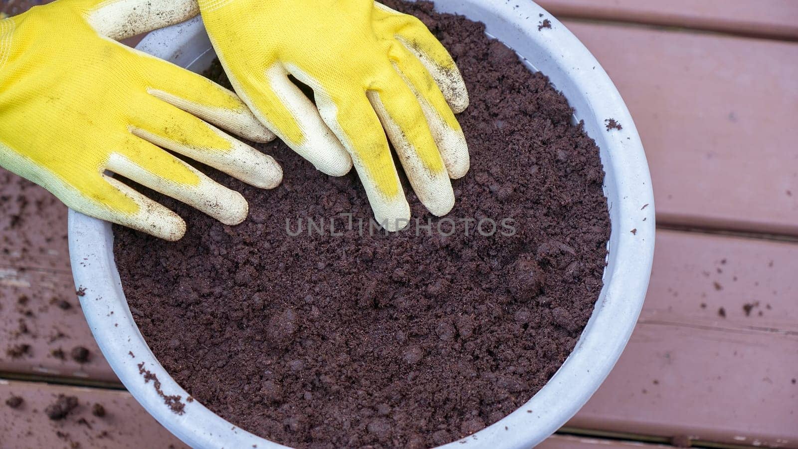 Human hands in yellow gloves taking care of the soil in the pot. Planting flowers in the garden in summer.