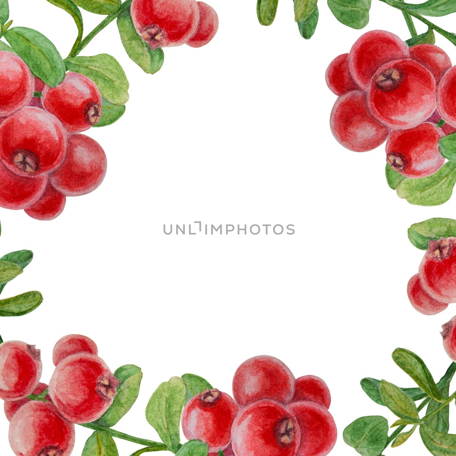 Wild red berries watercolor wreath. Hand drawn botanical realistic illustration. Forest cranberry, cowberry branch isolated on white background.Great for printing on fabric, postcards, invitations, menus