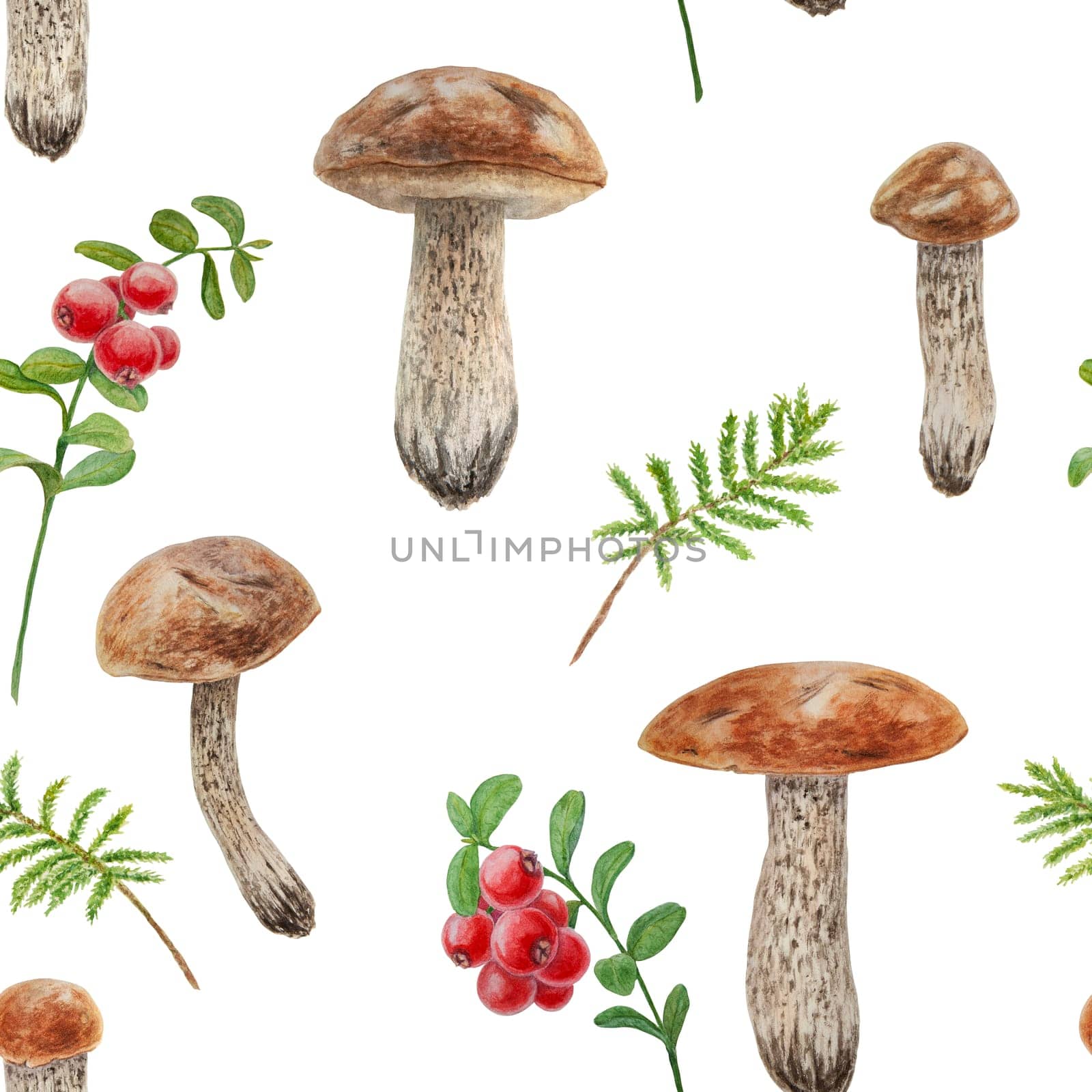 Wild mushrooms, red wild berries and moss watercolor hand drawn botanical realistic illustration. Forest boletus and cranberry isolated on white background. Great for printing on fabric, invitations, menus