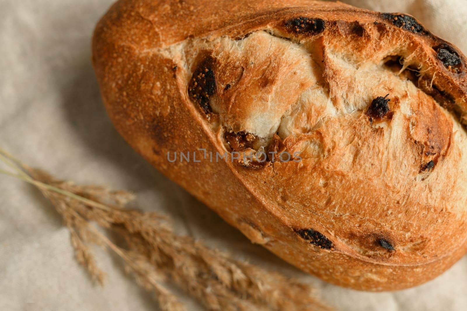 Delicious bread with figs on a beige background