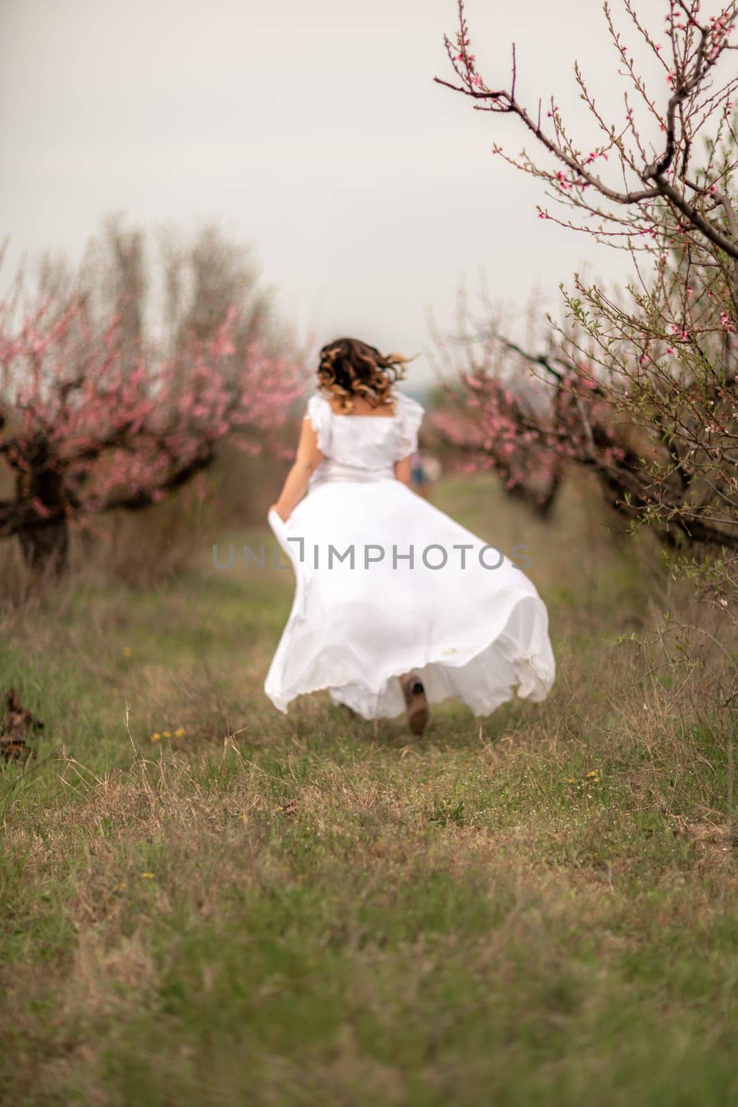 Woman peach blossom. Happy woman in white dress walking in the garden of blossoming peach trees in spring.