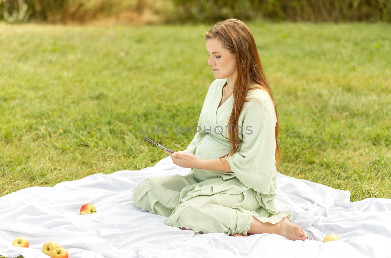 Young pretty pregnant girl holding, reading something on tablet,gadget,resting in park,sitting on cover,blanket in park,meadow. Healthy walk outdoors. Preparation for childbirth. Horizontal by netatsi