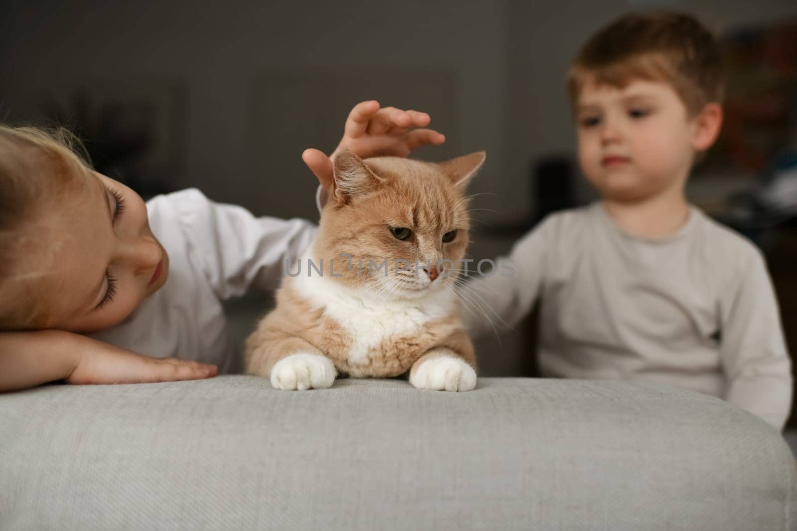 Brother and sister hugging a ginger cat on the couch by Godi