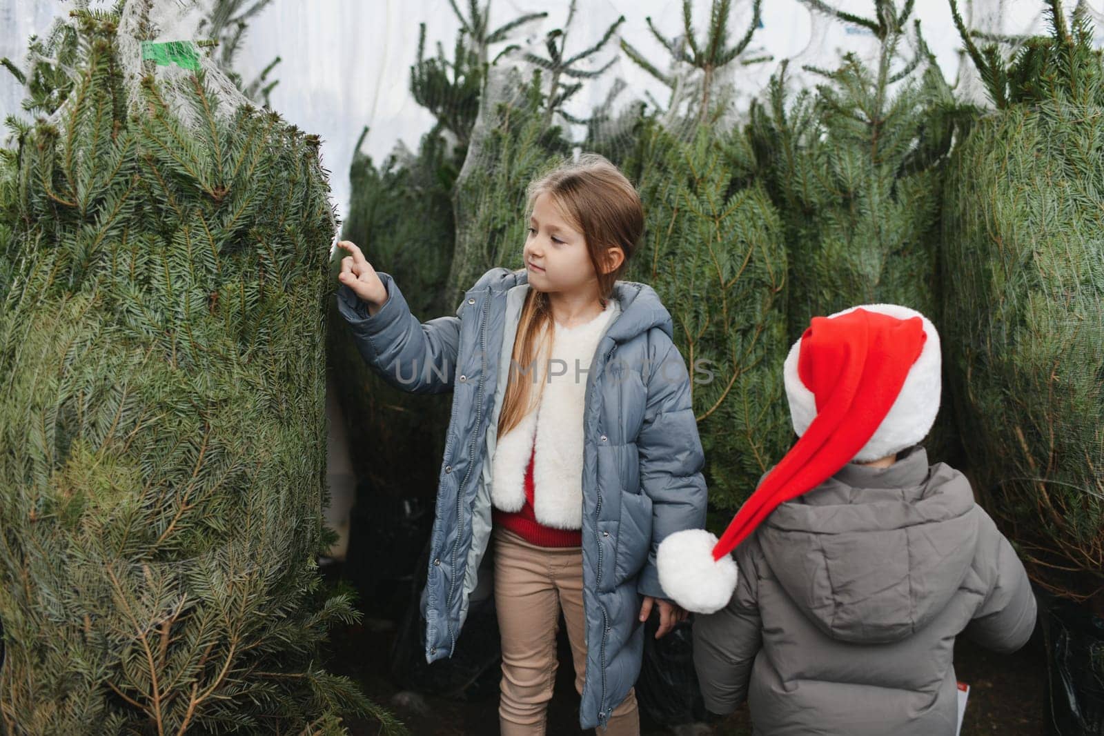 Children choose a Christmas tree at a market.