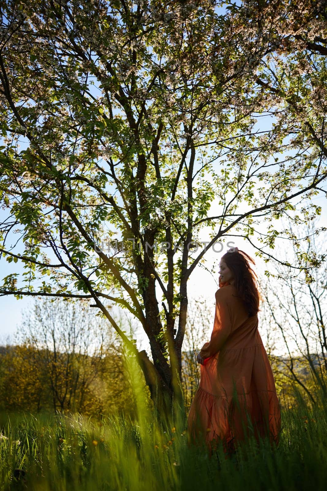 vertical photo of a silhouette of a woman standing in a long orange dress near a flowering tree. High quality photo