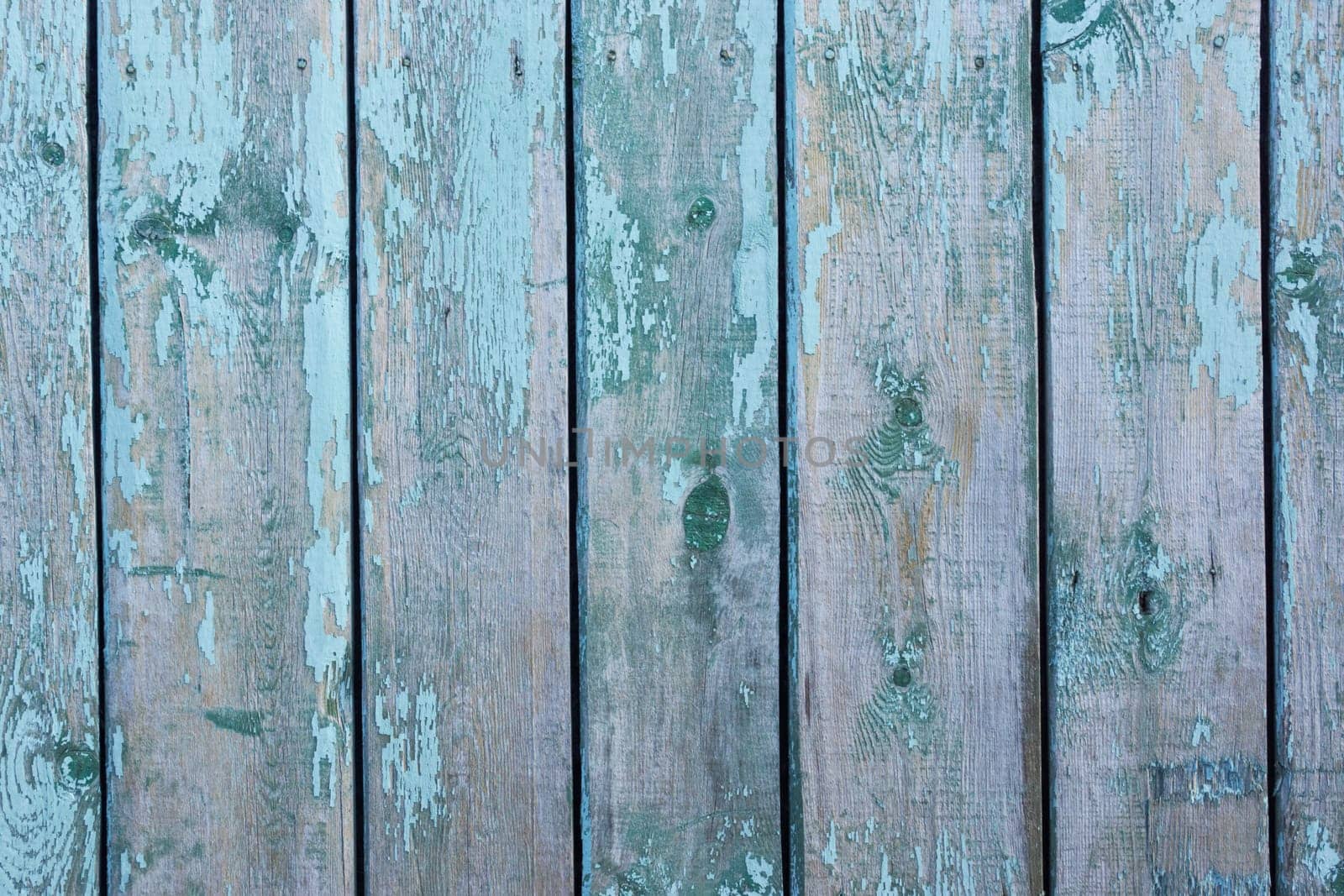 A blue wooden fence made of old cracked painted boards. Cracked blue paint on the boards