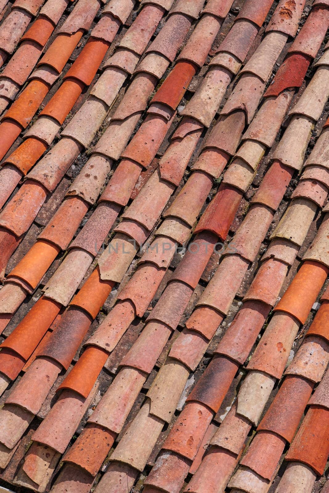 Roof tiles of an old house in a village. by apavlin