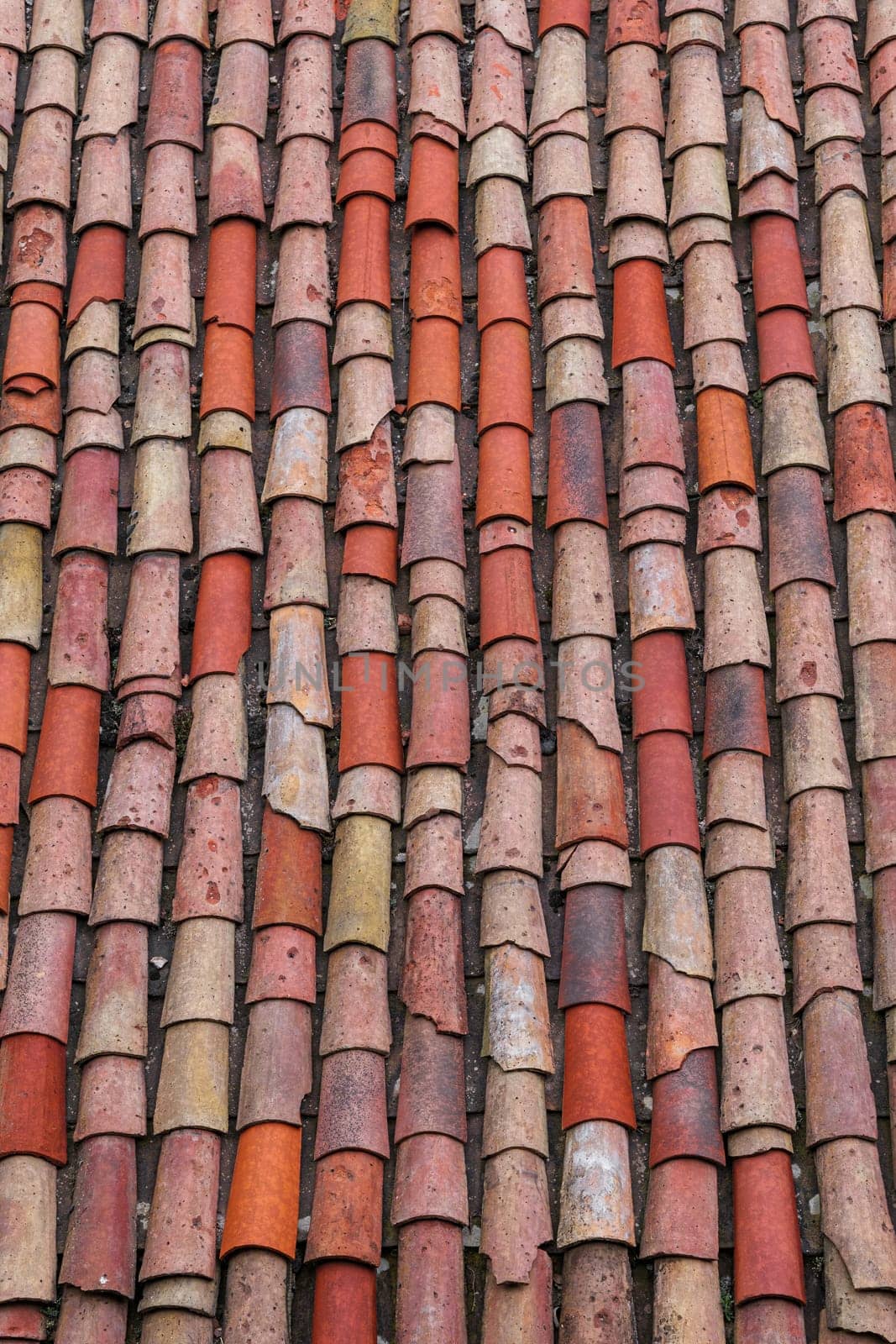 Vertical roof tiles of an old house in a village