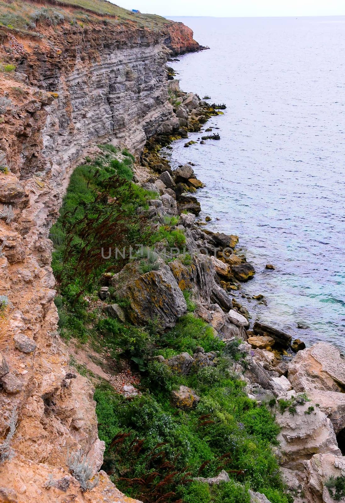 An impregnable precipitous rocky shore in the eastern Crimea by Hydrobiolog