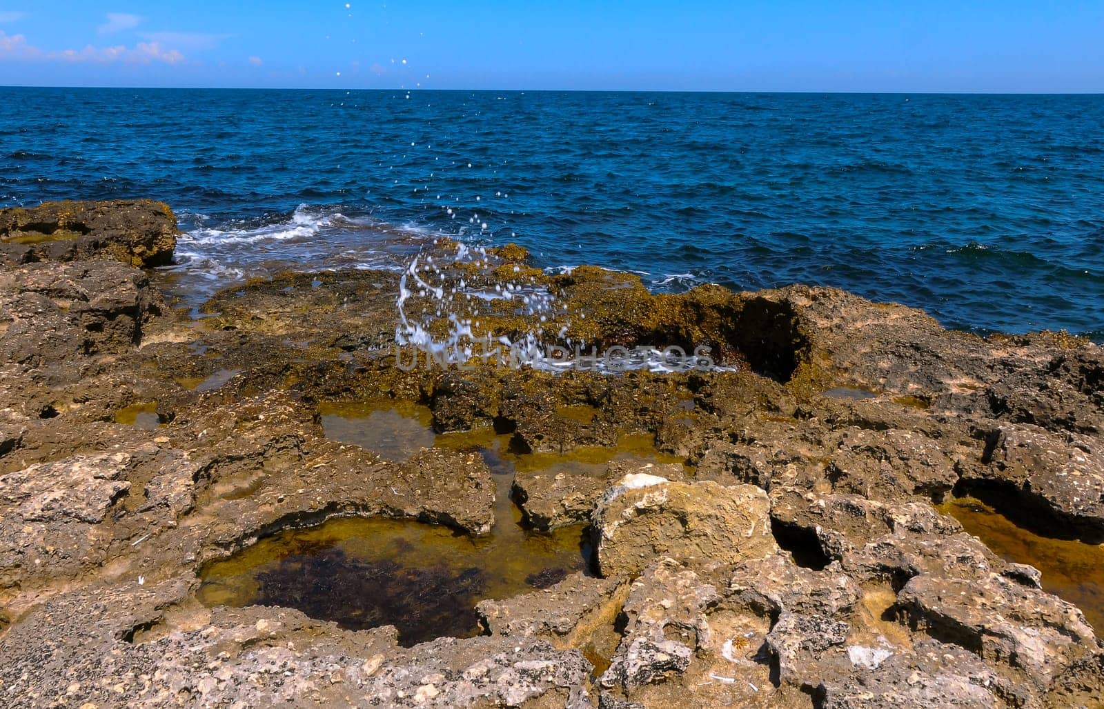 Flat rocky shore with many littoral puddles rich in life, in the eastern Crimea, Black Sea