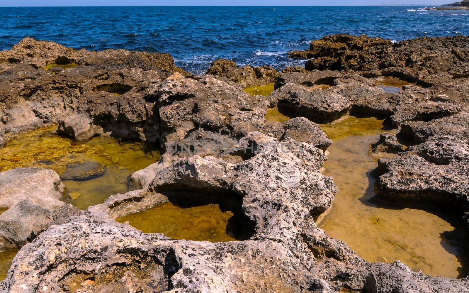 Flat rocky shore with many littoral puddles rich in life, in the eastern Crimea, Black Sea