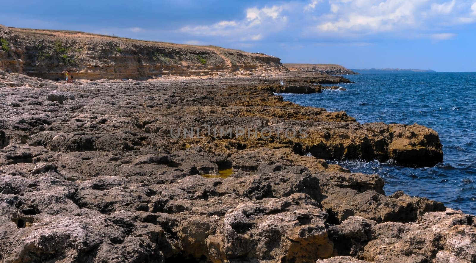 Flat rocky shore with many littoral puddles rich in life, in the eastern Crimea, Black Sea