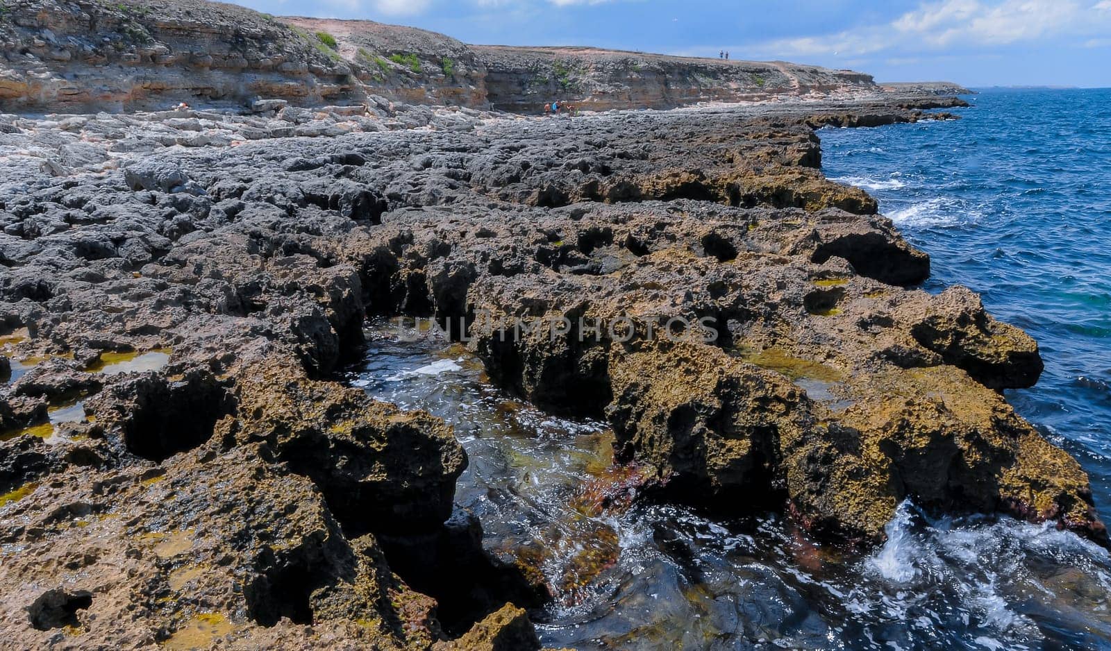 Flat rocky shore with many littoral puddles rich in life, in the eastern Crimea, Black Sea