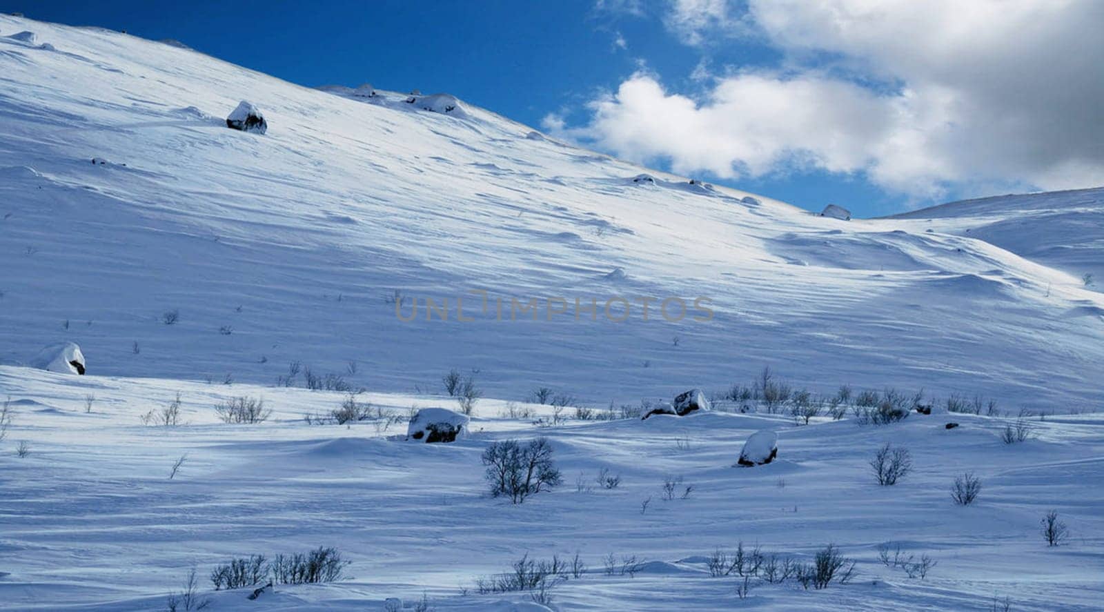 Magical Russian Arctic pictures