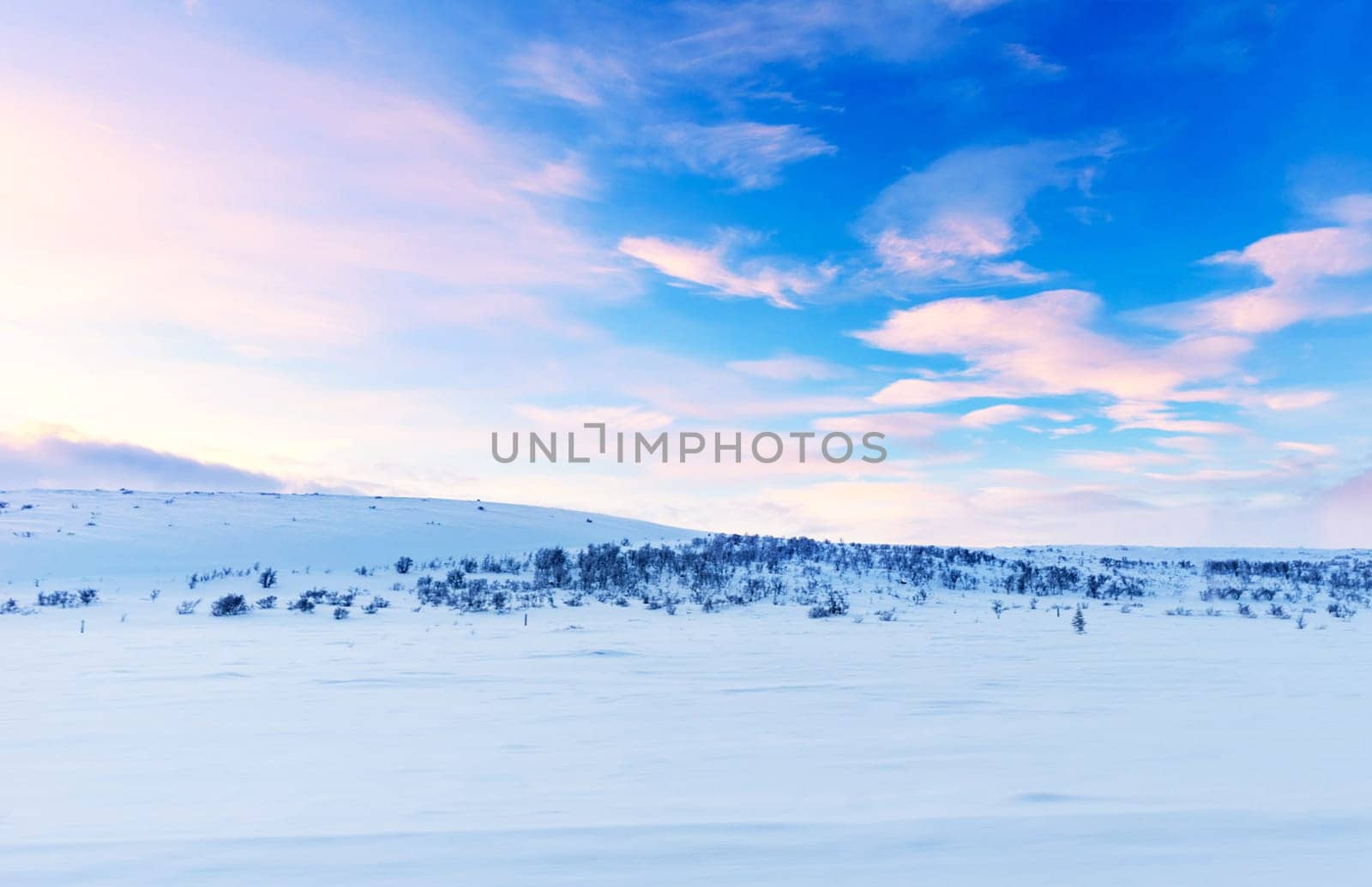 Beautiful Russian Arctic pictures by TravelSync27