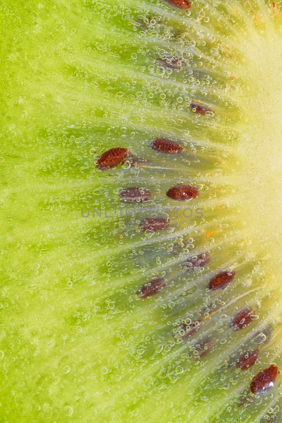 Slice of ripe kiwi fruit in water on white background. Close-up of kiwi fruit in liquid with bubbles. Slice of ripe kiwi in sparkling water. Macro image of fruit in carbonated water. by roman_nerud