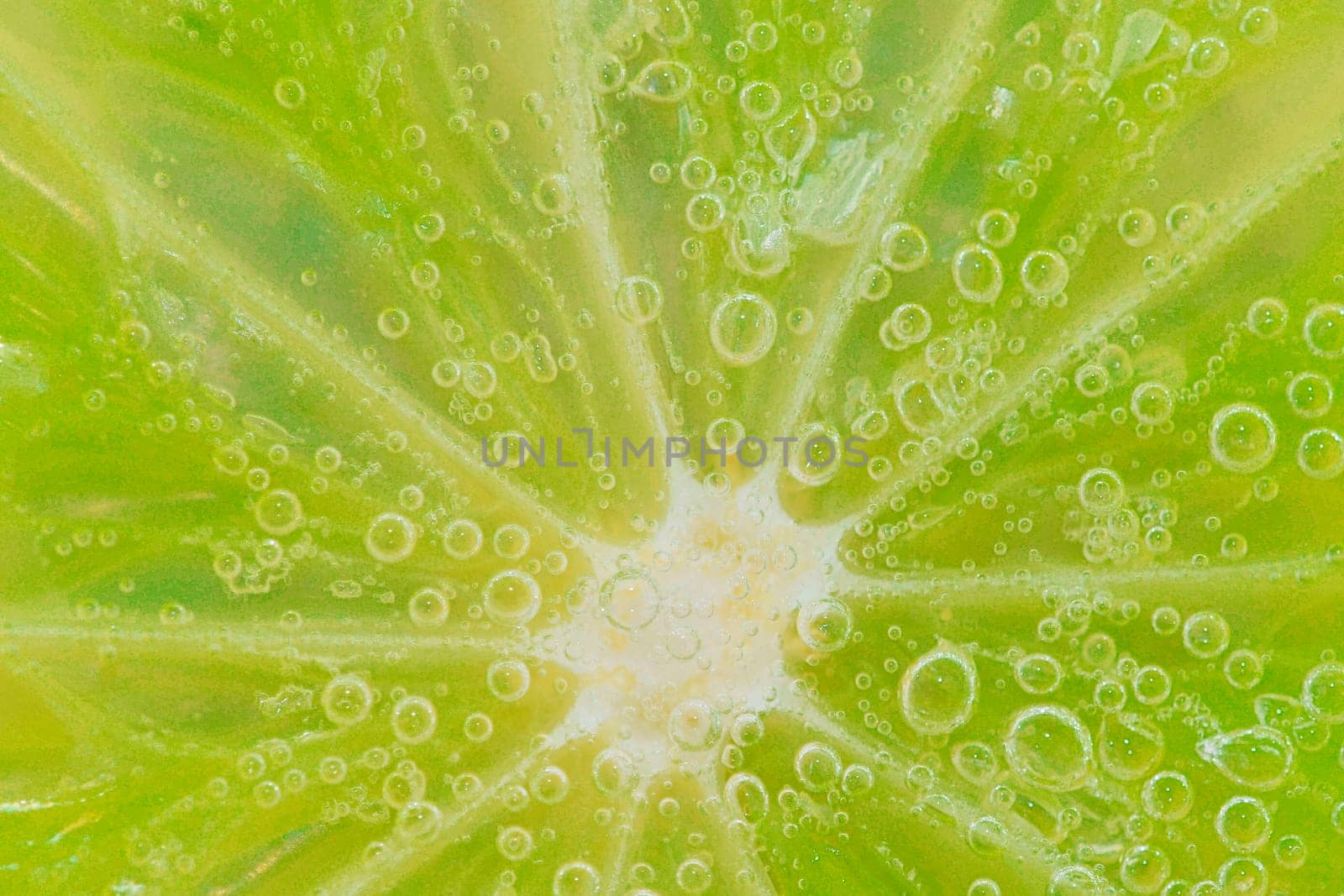 Slice of ripe lime in water. Close-up of lime in liquid with bubbles. Slice of ripe lime in sparkling water. Macro horizontal image of fruit in carbonated water. by roman_nerud