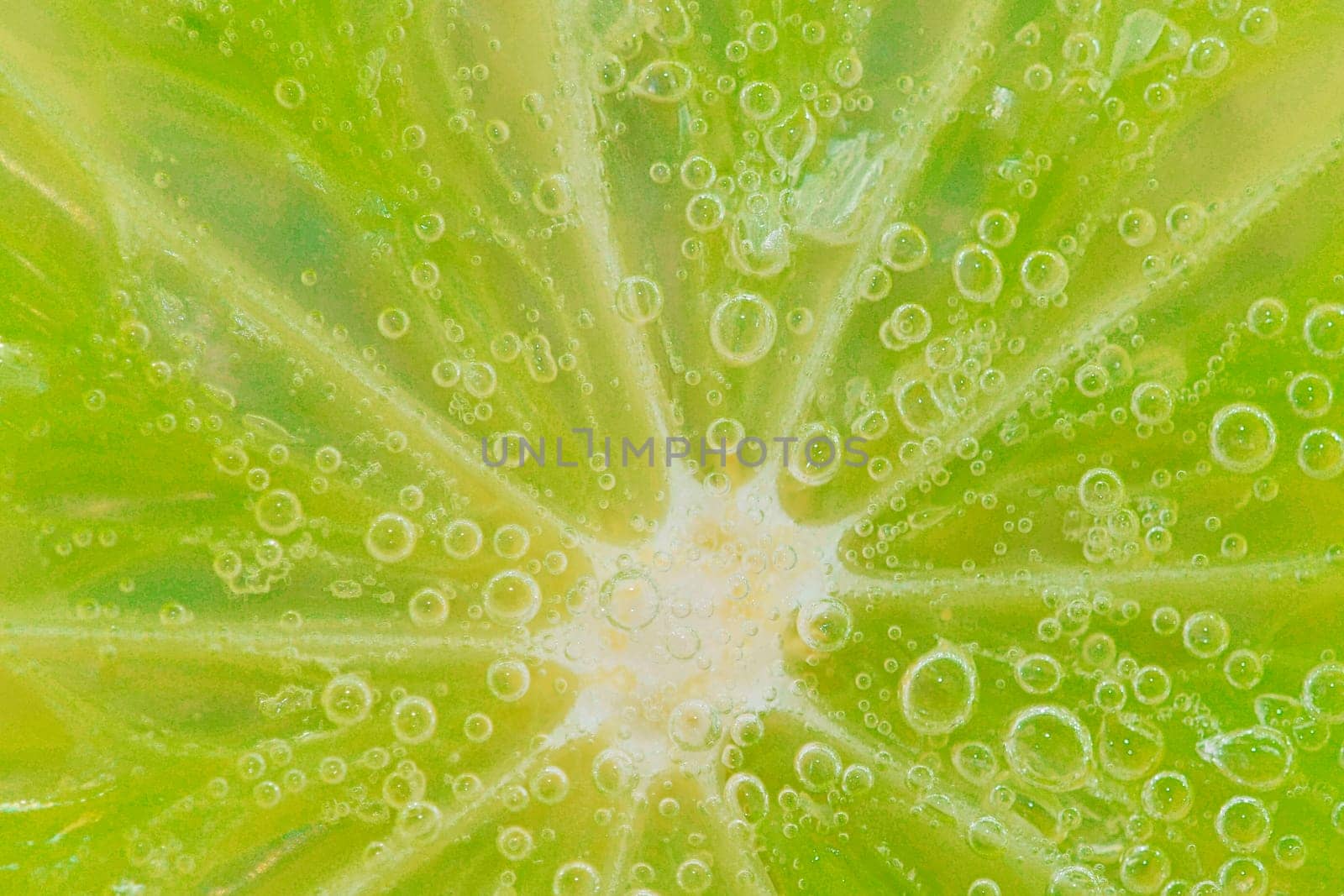 Slice of ripe lime in water. Close-up of lime in liquid with bubbles. Slice of ripe lime in sparkling water. Macro horizontal image of fruit in carbonated water