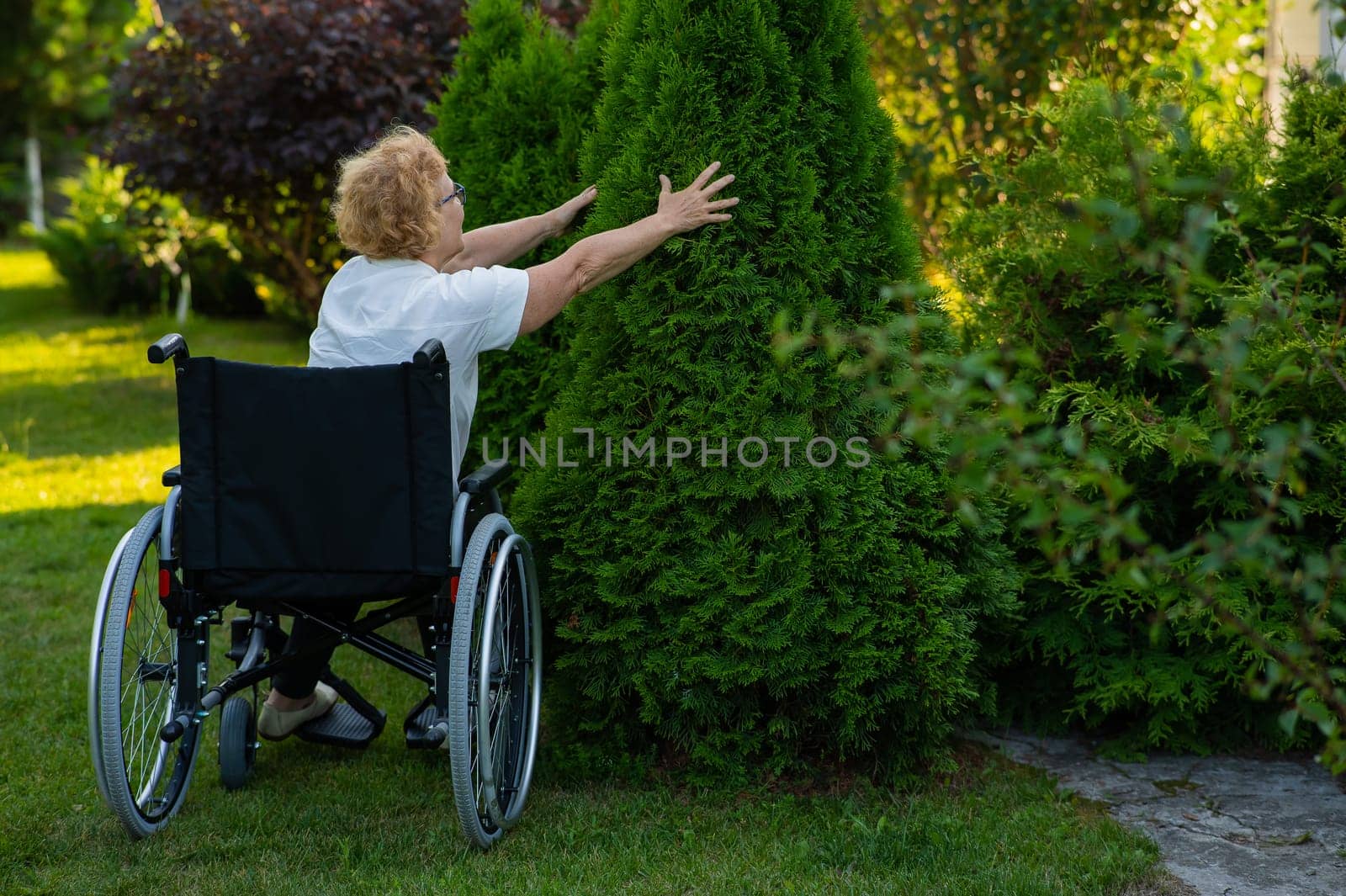 Happy elderly woman in a wheelchair rejoices in a walk outdoors