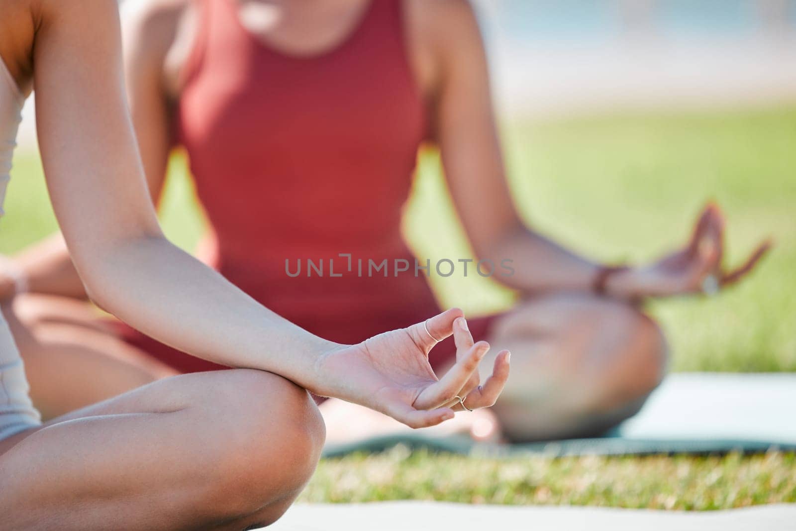 Yoga class, lotus hands and women for zen fitness, exercise and mindfulness, healing and peace in park grass. Meditation, nature and calm people, personal trainer for mental health and body wellness.